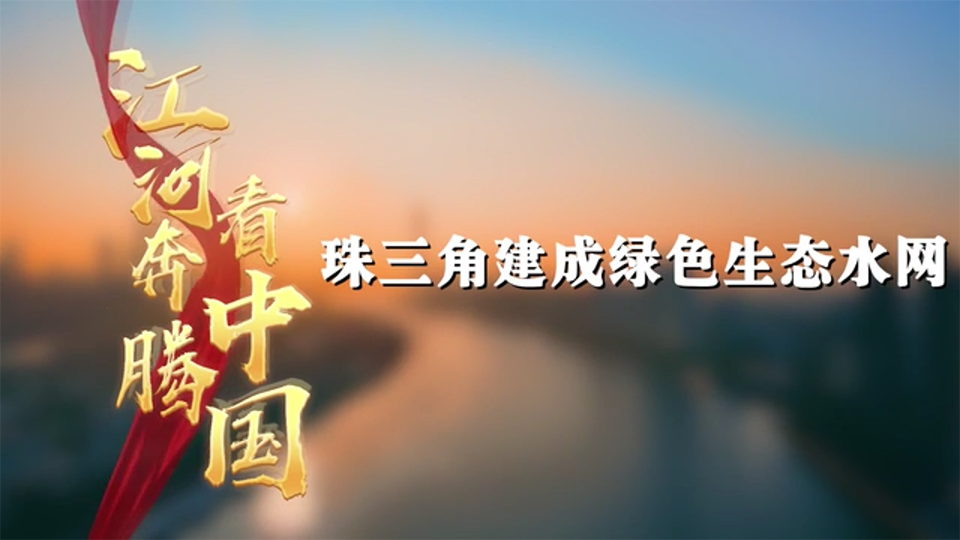 江河奔騰看中國·珠江新顏｜珠三角建成綠色生態(tài)水網